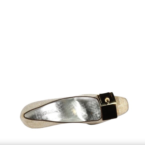 Dolce & Gabbana Silver Mesh Fabric Pump with Glitter Brown Velvet Accent - Picture 2 of 5